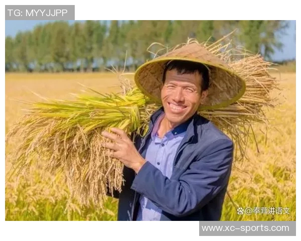 五谷丰登：探讨五种主要农作物对农业生产与生态环境的深远影响