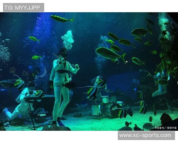 时尚与舒适兼具的潜水泳装设计,打造全新水下运动体验 时尚与舒适兼具的潜水泳装设计,打造全新水下运动体验