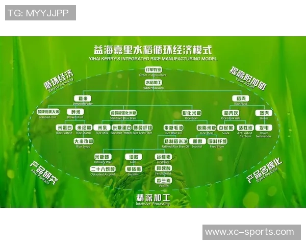 大米种植技术创新与可持续发展模式探讨及应用前景分析 大米种植技术创新与可持续发展模式探讨及应用前景分析