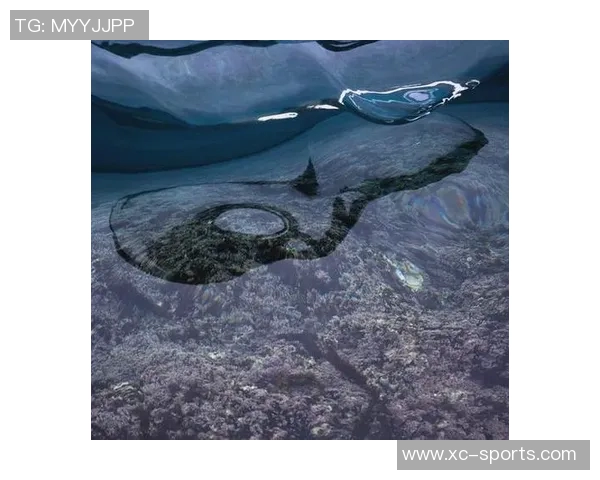 探索摄影艺术的魅力与技巧:从拍摄到后期处理的全方位解析 探索摄影艺术的魅力与技巧:从拍摄到后期处理的全方位解析