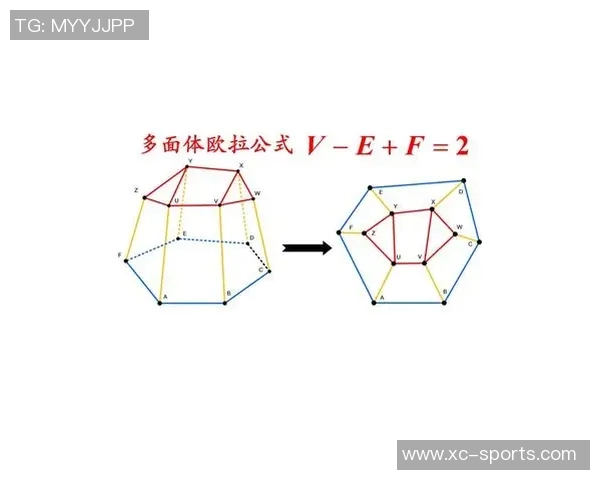 西安网球队战术解析与对比研究揭示胜负关键因素 西安网球队战术解析与对比研究揭示胜负关键因素