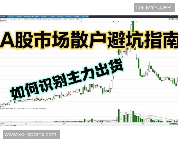 购买英超足球队流程解析 投资者指南 购买英超足球队流程解析 投资者指南