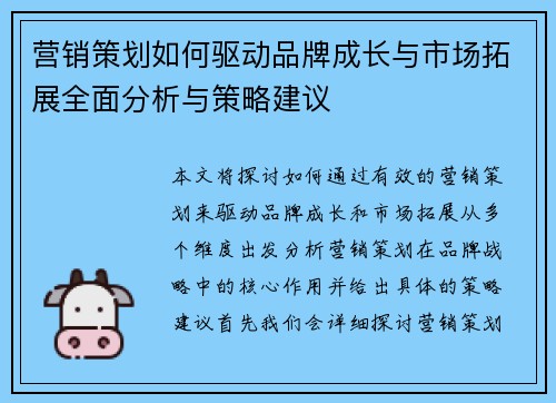 营销策划如何驱动品牌成长与市场拓展全面分析与策略建议